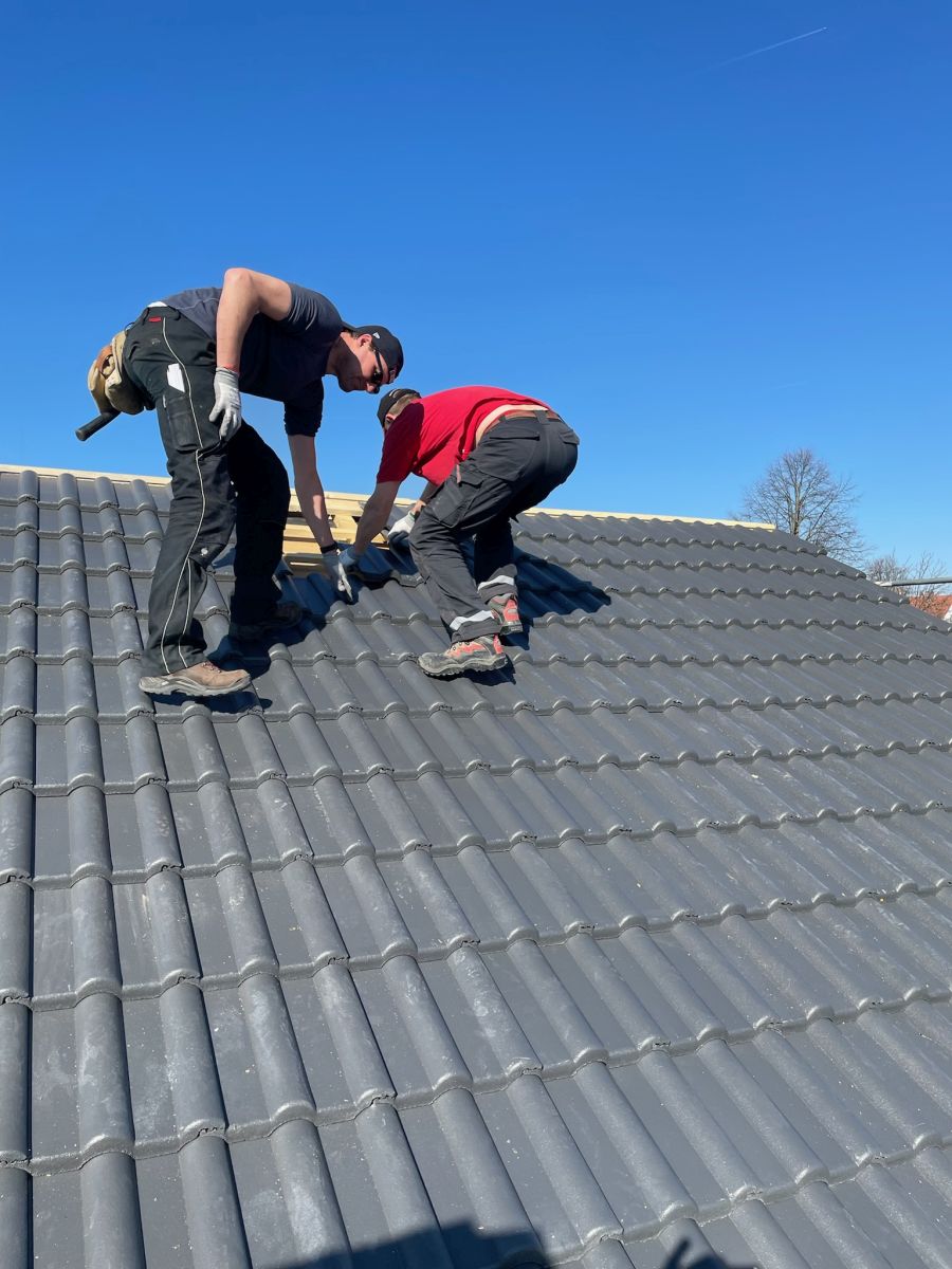 Steildach 03/2022